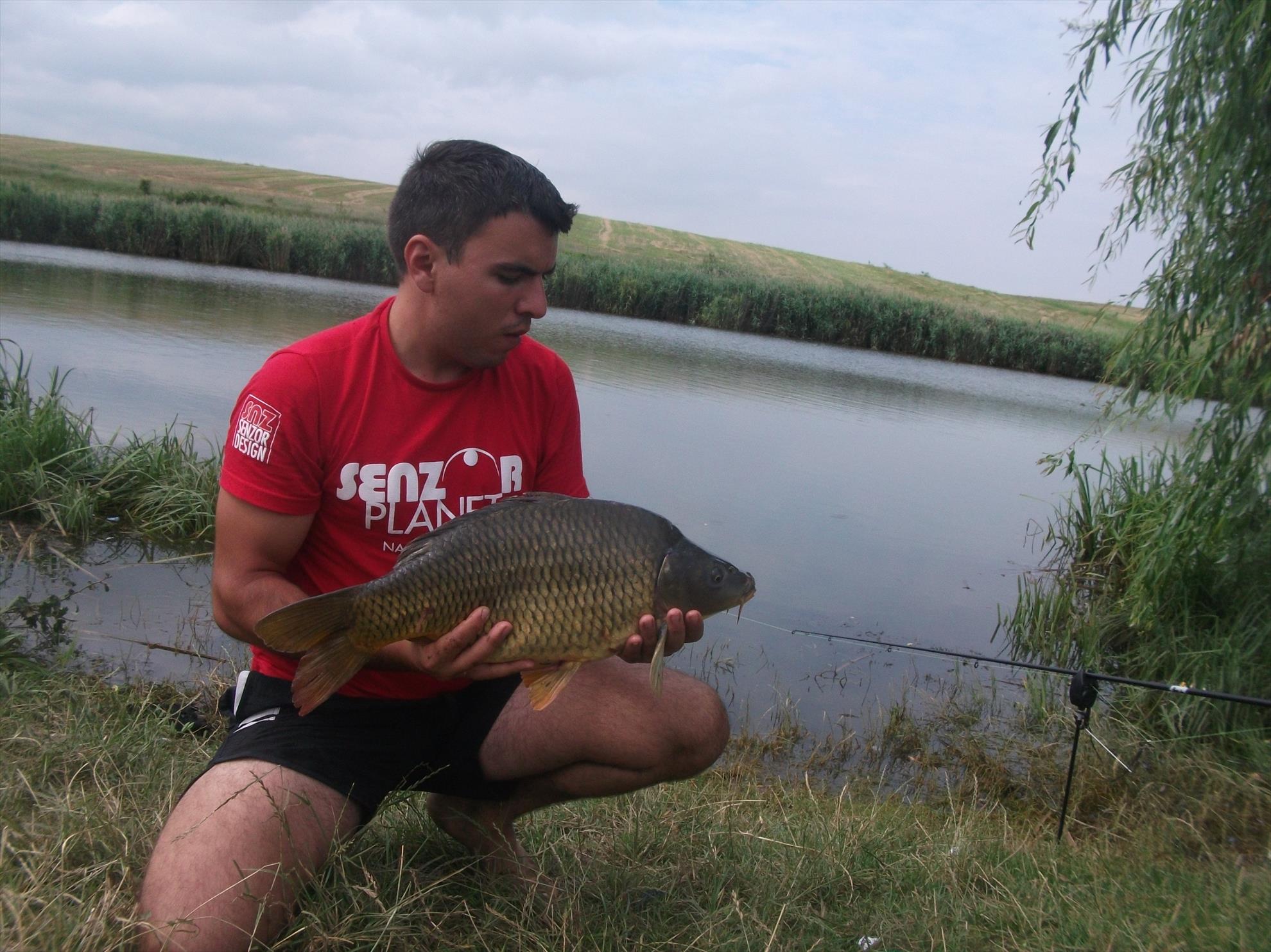 Walter - dscf0588.jpg